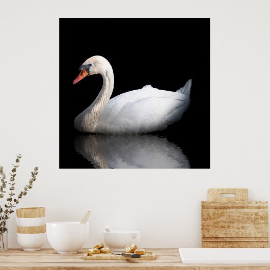 Witte zwaan op zwart poster (Keuken)