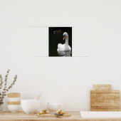 Witte Zwaan Poster (Keuken)