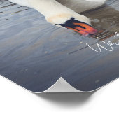 Witte zwaan  poster (Hoek)