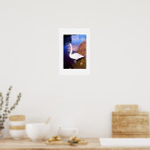 Witte zwaan poster (Keuken)