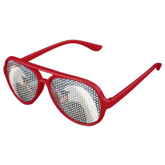 Witte zwaan retro partij tinten, rood aviator zonnebril (Gekanteld)