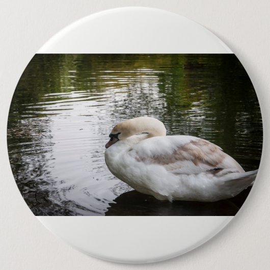 Witte zwaan ronde button 6,0 cm (Voorkant)