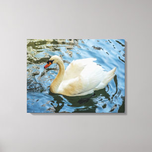 Witte zwaan uitzicht canvas print