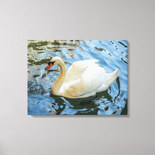 Witte zwaan uitzicht canvas print (Voorkant)