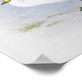 Witte zwaan, Vogels illustratie Poster (Hoek)