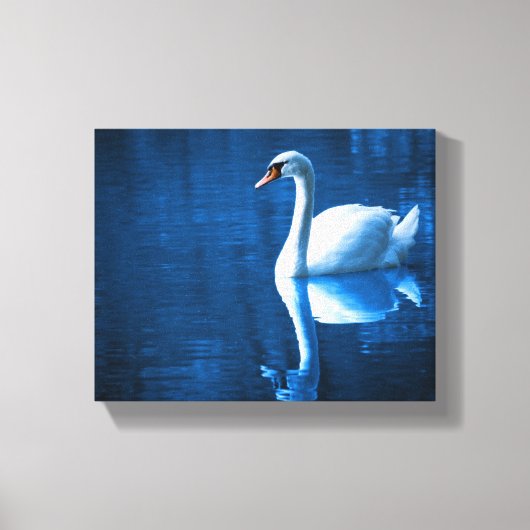  witte zwaluw die drijft op een blauw meer canvas afdruk (Voorkant)