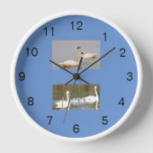 Witte zwanen Acryl Wandklok (Voorkant)