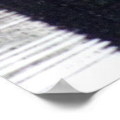 Witte zwanen bij Dusk Poster (Hoek)