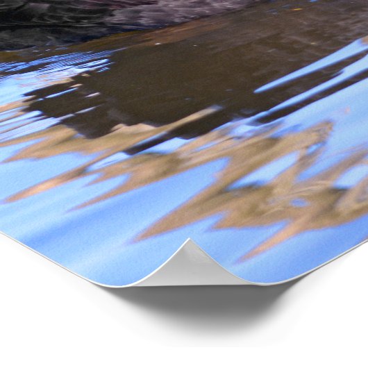 Witte-zwanen-briefkaart rectan poster (Hoek)