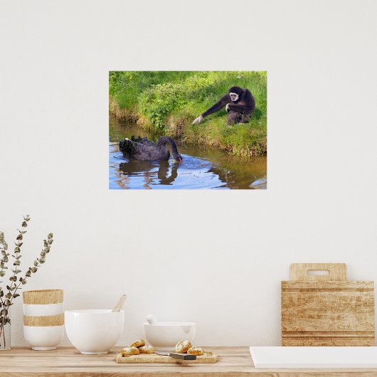 Witte-zwanen-briefkaart rectan poster (Keuken)