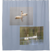 Witte zwanen douchegordijn (Voorkant)
