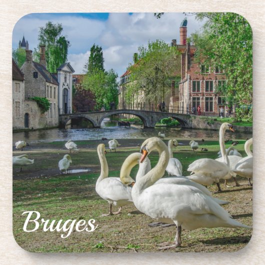 Witte zwanen in Brugge Bier Onderzetter (Voorkant)