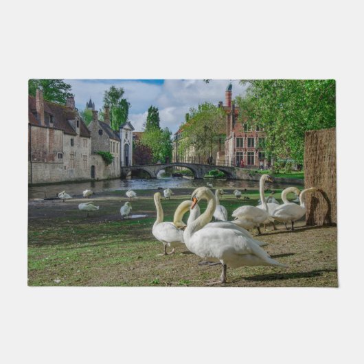 Witte zwanen in Brugge Deurmat (Voorkant)