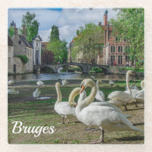 Witte zwanen in Brugge Glazen Onderzetter