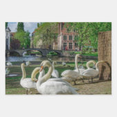 Witte zwanen in Brugge Inpakpapier Vel (Voorkant 2)