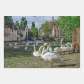 Witte zwanen in Brugge Inpakpapier Vel (Voorkant)