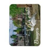 Witte zwanen in Brugge Magneet (Verticaal)