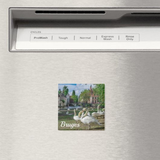 Witte zwanen in Brugge Magneet (Insitu (Vaatwasser))