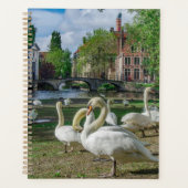 Witte zwanen in Brugge Planner (Voorkant)