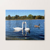 Witte zwanen in Ronde Pond Kensington Gardens Legpuzzel (Horizontaal)