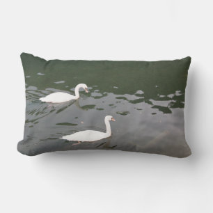 Witte zwanen op het water - Natuurfotografie Lende Kussen