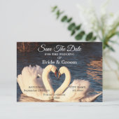 Witte zwanen weduwen sparen de datum save the date (Staand voorkant)