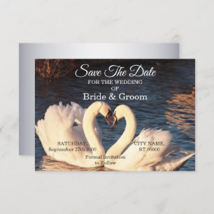 Witte zwanen weduwen sparen de datum save the date