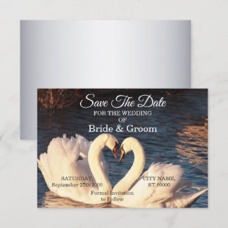 Witte zwanen weduwen sparen de datum save the date