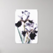 *~* Witte Zwarte Bloem Artsy Iris Schilderen AP84 Canvas Afdruk (Voorkant)