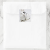 Witte, zwarte en bruine konijnen vierkante sticker (Tas)