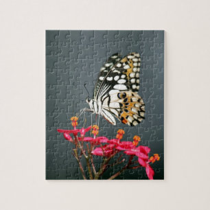Witte zwarte en gele vlinder op roze bloemen legpuzzel