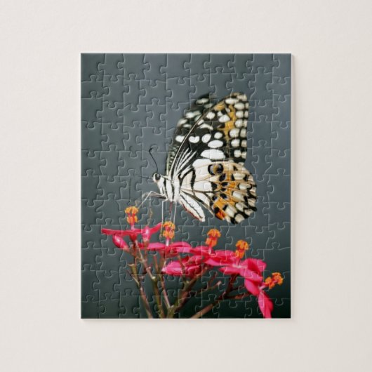 Witte zwarte en gele vlinder op roze bloemen legpuzzel (Verticaal)