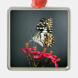Witte zwarte en gele vlinder op roze bloemen metalen ornament