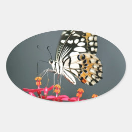 Witte zwarte en gele vlinder op roze bloemen ovale sticker