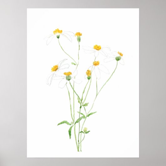 witte zwarte hefbloemen 2 poster (Voorkant)