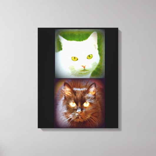 witte/zwarte katten canvas afdruk (Voorkant)