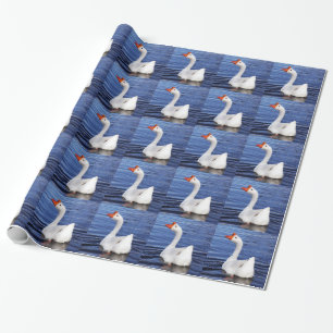 witte zwemgans in blauwe water cadeaupapier