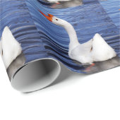 witte zwemgans in blauwe water cadeaupapier (Rol Hoek)