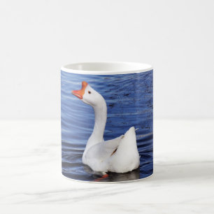 witte zwemgans in blauwe water koffiemok