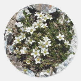 Witte Zwitserse Alpine Flowers sticker