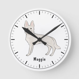 Witte Zwitserse Herder Witte GSD Mooie Hond Met Na Ronde Klok