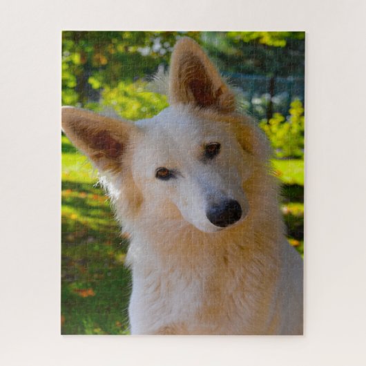 Witte Zwitserse Schaapherdershond Jigsaws. Legpuzzel (Verticaal)