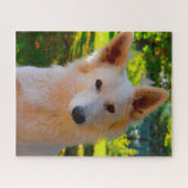 Witte Zwitserse Schaapherdershond Jigsaws. Legpuzzel (Horizontaal)