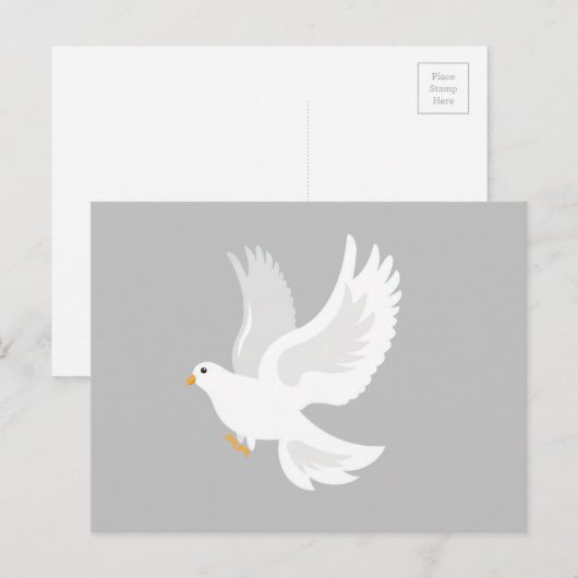 Witteduif op grijs briefkaart (Voorkant / Achterkant)
