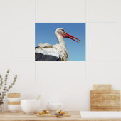 Witteooievaar Poster (Keuken)