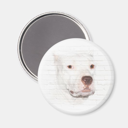 Wittepelleroog Magneet (Voorkant / Achterkant)