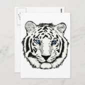 Wittijgerbriefkaart Briefkaart (Voorkant / Achterkant)