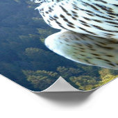 Witvalk Poster (Hoek)