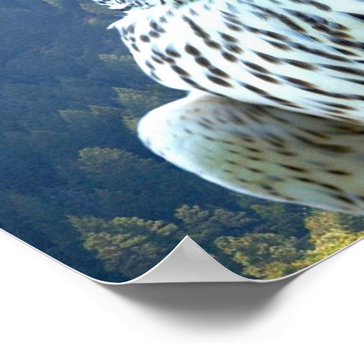 Witvalk Poster (Hoek)