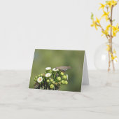 Witvleugelduif Kaart (Gele Bloem)